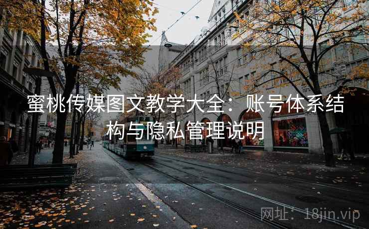 蜜桃传媒图文教学大全：账号体系结构与隐私管理说明