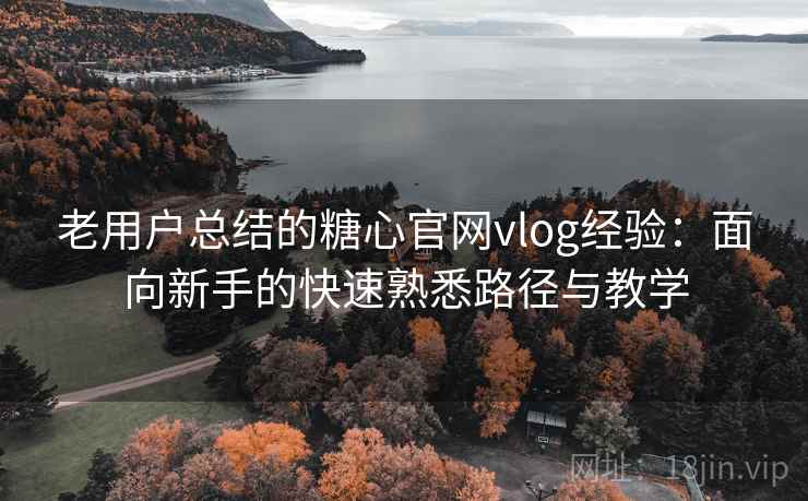 老用户总结的糖心官网vlog经验：面向新手的快速熟悉路径与教学
