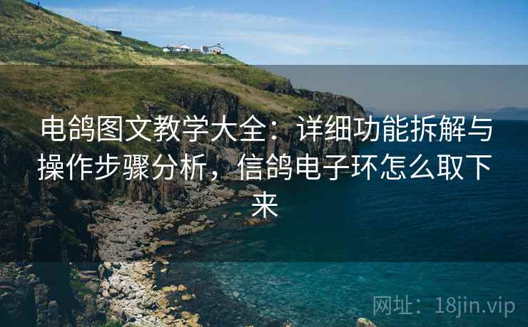 电鸽图文教学大全：详细功能拆解与操作步骤分析，信鸽电子环怎么取下来