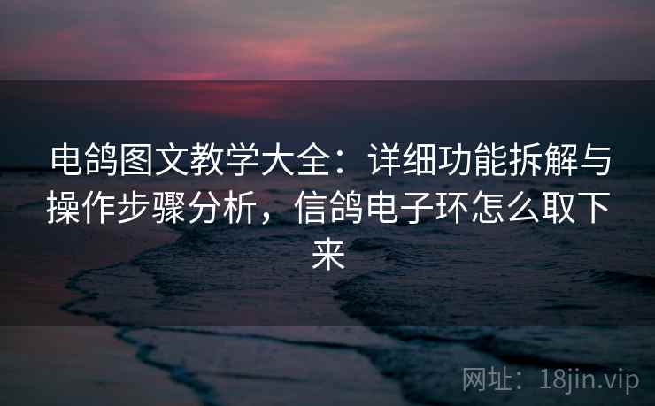 电鸽图文教学大全:详细功能拆解与操作步骤分析,信鸽电子环怎么取下来 电鸽图文教学大全:详细功能拆解与操作步骤分析,信鸽电子环怎么取下来