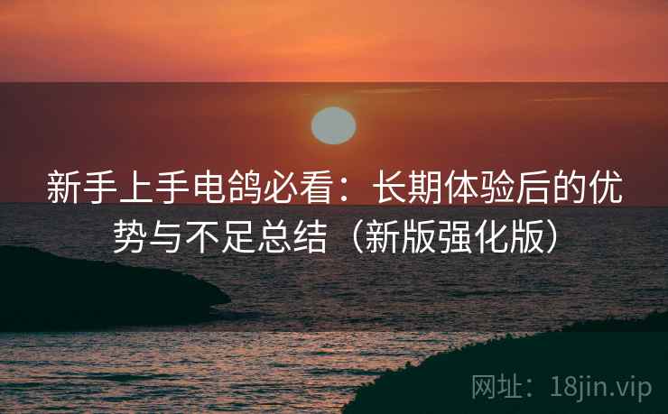 新手上手电鸽必看：长期体验后的优势与不足总结（新版强化版）