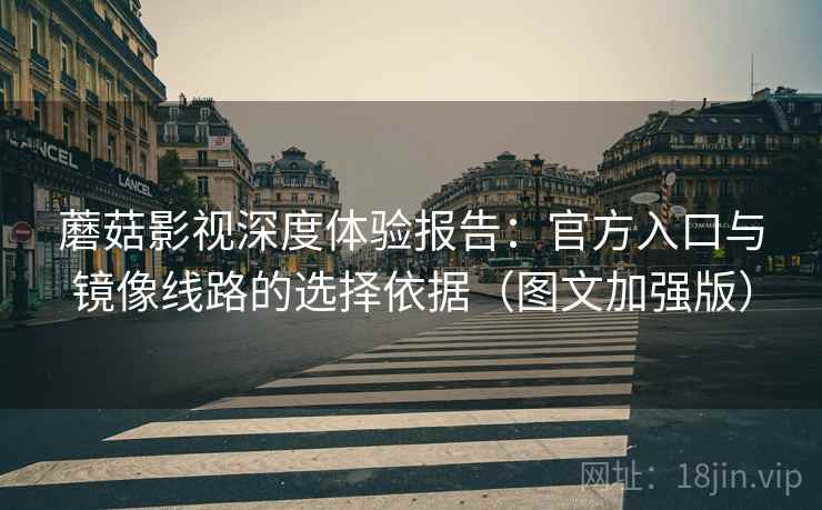蘑菇影视深度体验报告：官方入口与镜像线路的选择依据（图文加强版）