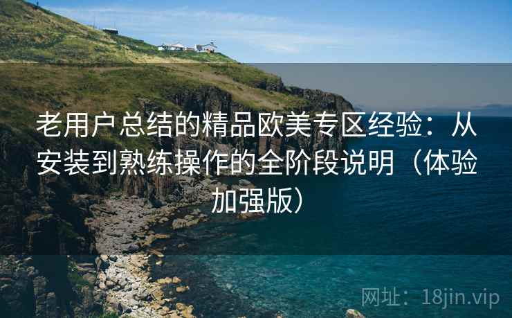 老用户总结的精品欧美专区经验：从安装到熟练操作的全阶段说明（体验加强版）