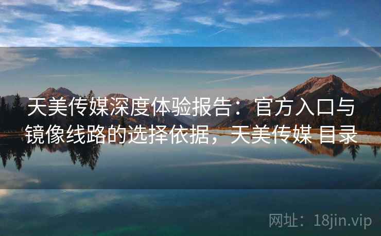 天美传媒深度体验报告：官方入口与镜像线路的选择依据，天美传媒 目录