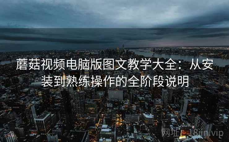 蘑菇视频电脑版图文教学大全：从安装到熟练操作的全阶段说明