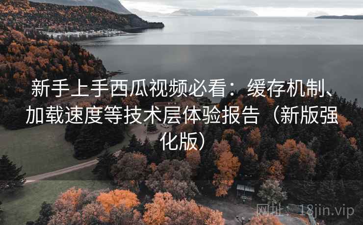 新手上手西瓜视频必看：缓存机制、加载速度等技术层体验报告（新版强化版）