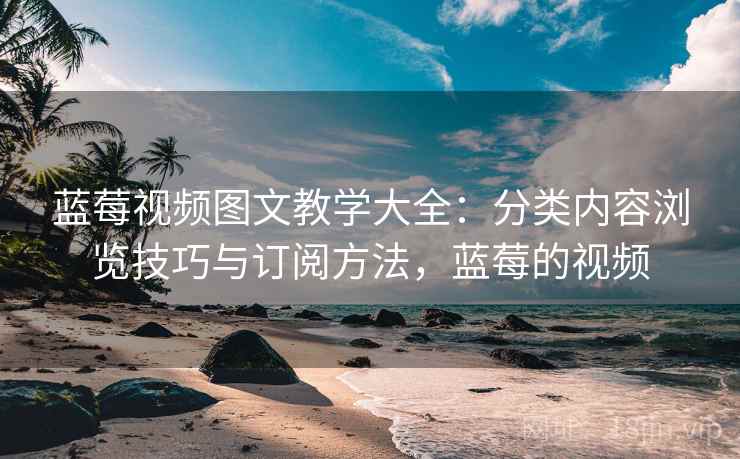 蓝莓视频图文教学大全：分类内容浏览技巧与订阅方法，蓝莓的视频
