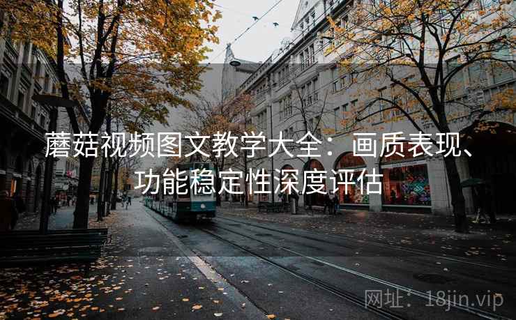 蘑菇视频图文教学大全:画质表现、功能稳定性深度评估 蘑菇视频图文教学大全:画质表现、功能稳定性深度评估