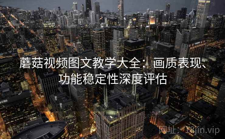 蘑菇视频图文教学大全：画质表现、功能稳定性深度评估