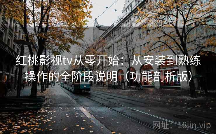 红桃影视tv从零开始：从安装到熟练操作的全阶段说明（功能剖析版）
