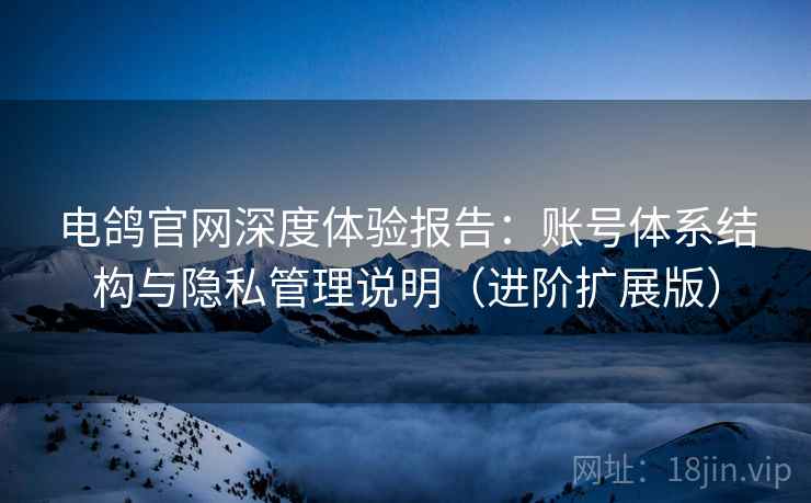 电鸽官网深度体验报告：账号体系结构与隐私管理说明（进阶扩展版）