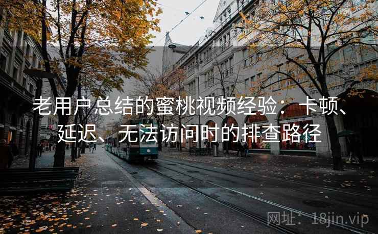 老用户总结的蜜桃视频经验：卡顿、延迟、无法访问时的排查路径